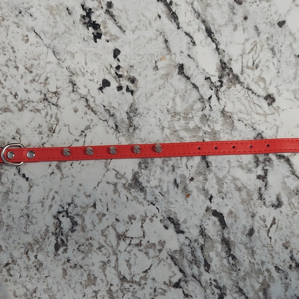 Spiked dog collar